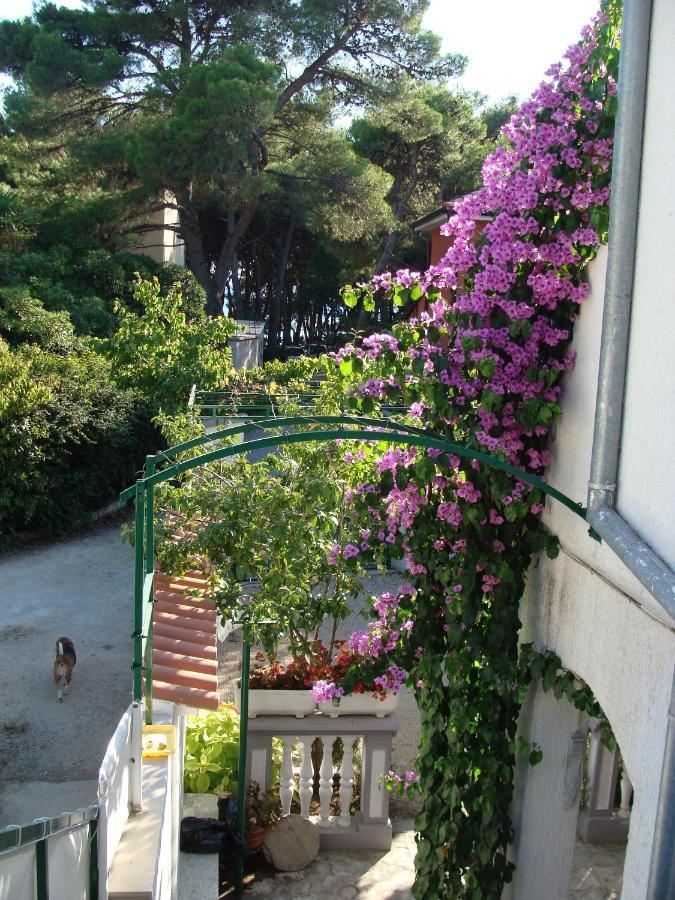 Apartments By The Sea Jadrija, Sibenik - 11356 Exterior photo
